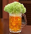 Beer Mug Green