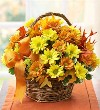 Fall Daisy Basket