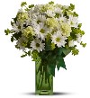 White Daisy & Green Carnations