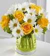 Yellow Roses and White Daisies